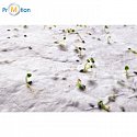 Sheet of A6 paper with wild flower seeds for logo printing 2