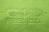 antibacterial towel with logo printing