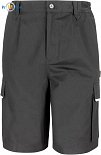 Result Work-Guard | R309X - Working shorts