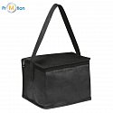 Non-woven cooler bag