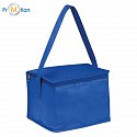 Non-woven cooler bag