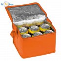 Non-woven cooler bag