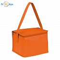 Non-woven cooler bag