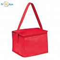 Non-woven cooler bag