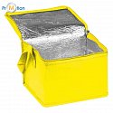 Non-woven cooler bag