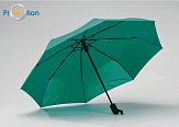 CAMBRIDGE DAS UMBRELLA Green