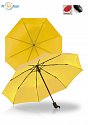 CAMBRIDGE DAS UMBRELLA Yellow