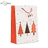 Large Paper Gift Bag for Christmas