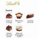 Lindt mini pralines with logo print 2